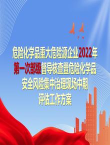 危險化學(xué)品重大危險源企業(yè) 2022 年第一次部級督導核查暨危險化學(xué)品安全風(fēng)險集中治理現場(chǎng)中期評估工作方案pptx