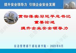【王浩水】貫徹落實(shí)習近平總書(shū)記重要論述 提升企業(yè)安全領(lǐng)導力pdf
